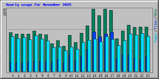 Hourly usage for November 2025