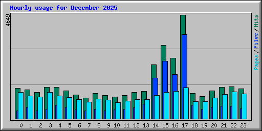 Hourly usage for December 2025