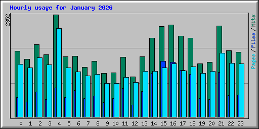 Hourly usage for January 2026