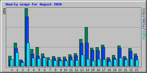 Hourly usage for August 2026