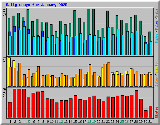 Daily usage for January 2025