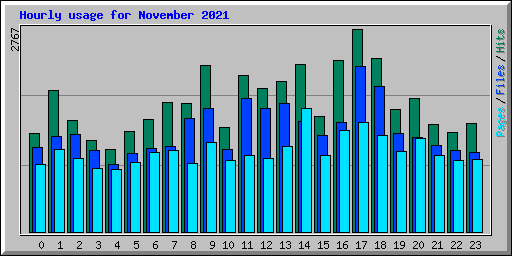 Hourly usage for November 2021