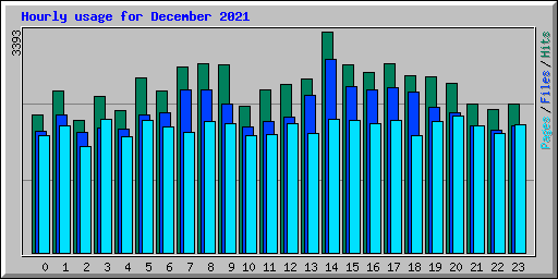 Hourly usage for December 2021