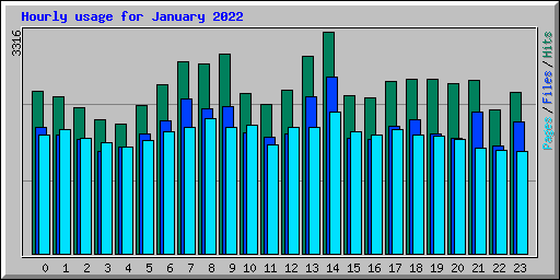 Hourly usage for January 2022