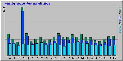 Hourly usage for March 2022