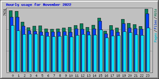 Hourly usage for November 2022