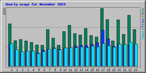 Hourly usage for November 2024