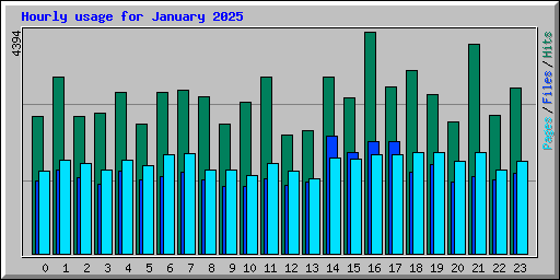 Hourly usage for January 2025
