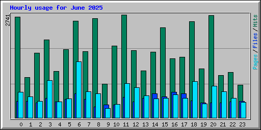 Hourly usage for June 2025