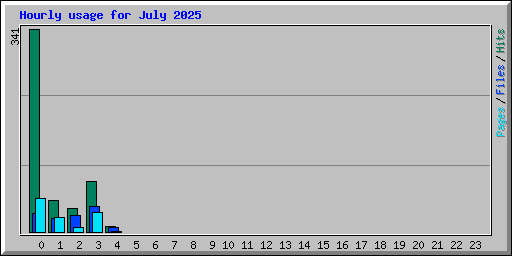Hourly usage for July 2025