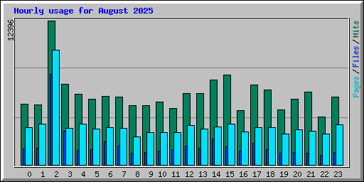 Hourly usage for August 2025