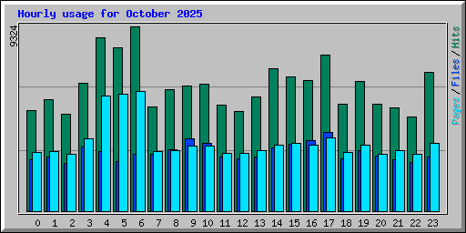Hourly usage for October 2025